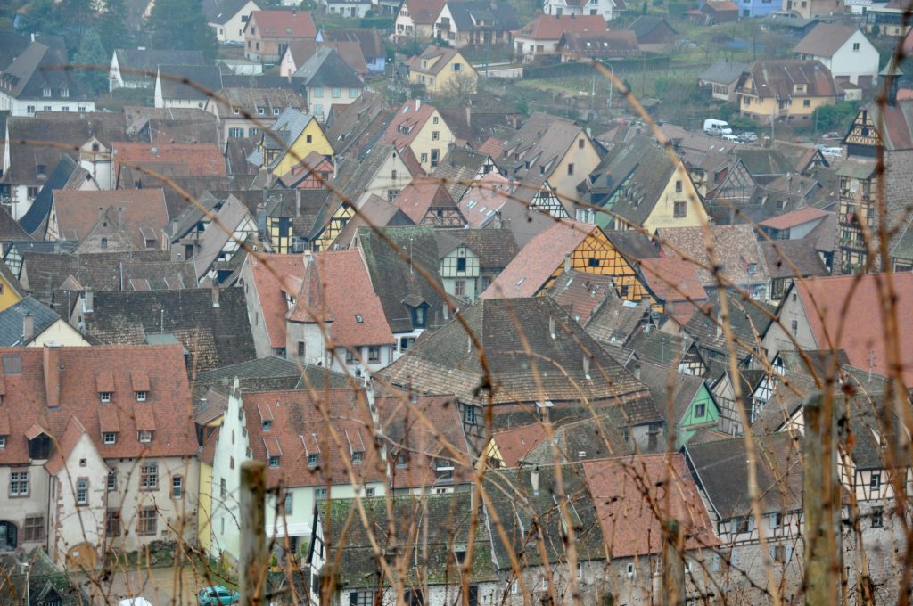 village de Riquewihr au milieu des cépages d'Alsace