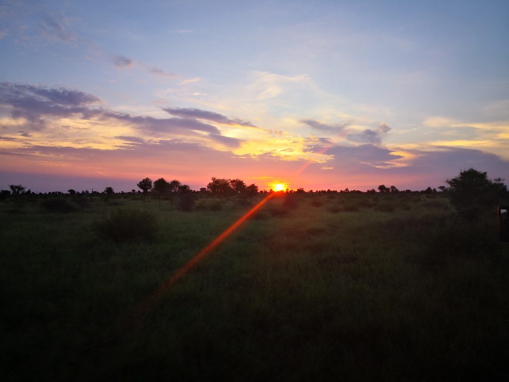 Kruger sunset soleil ouonva